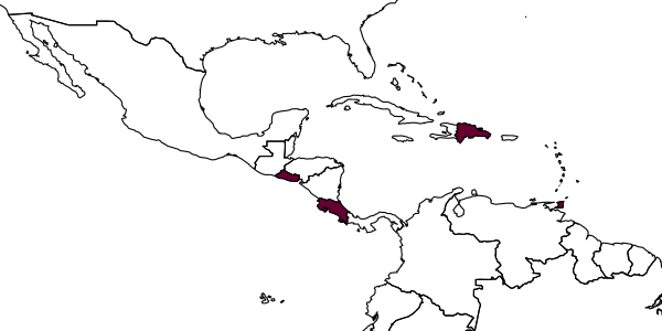 map of Horismenus abagus     Hansson, 2009